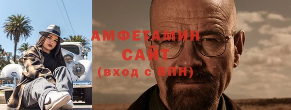 шишки Гусиноозёрск