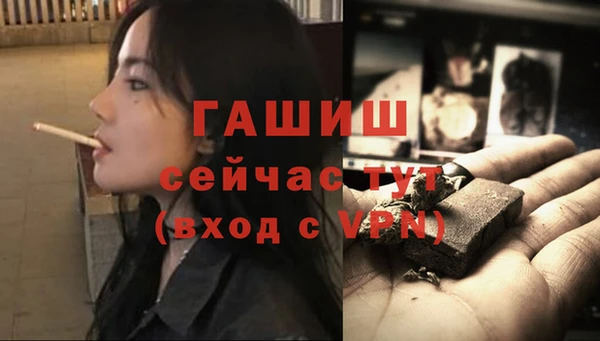 гашик Чегем