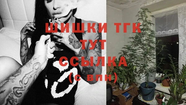 дмт Гусь-Хрустальный