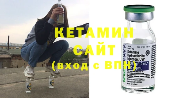 шишки Гусиноозёрск