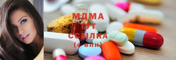 шишки Гусиноозёрск