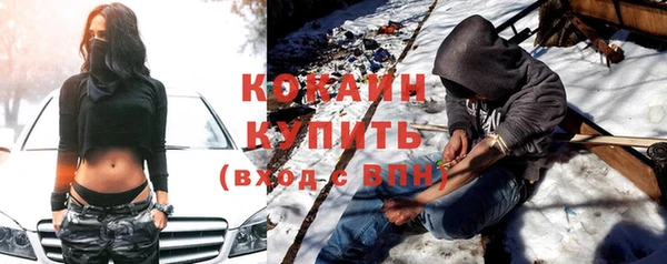 молекула духа Каменка