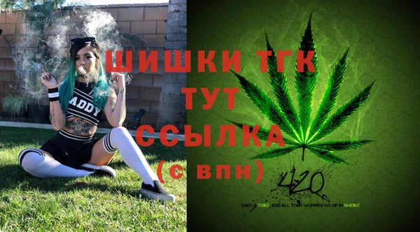 индика Шарыпово